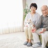 犬のホストファミリー・ペット向け民泊サービス開業サポート
