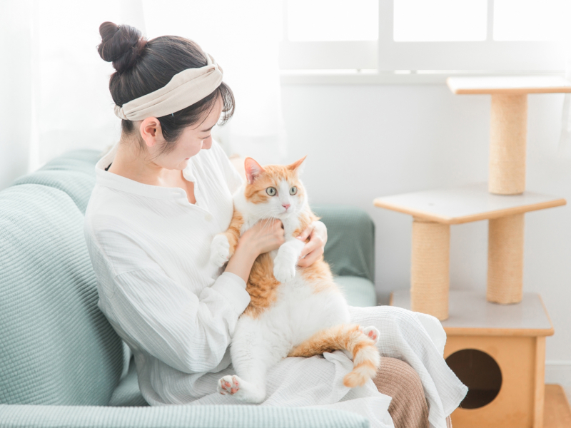 犬カフェ,猫カフェ,カフェ,爬虫類カフェ,ブタカフェ,うさぎカフェ,小動物カフェ,エキゾチックアニマルカフェ開業サポート